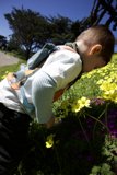 Innocence in Bloom