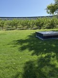 Serenity Amidst Innovation