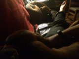 Two Canine Companions Enjoy Naptime with Owner