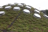 Circular Windows on a Green Roof
