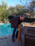 Man and Dog Enjoying Sunny Afternoon by the Pool