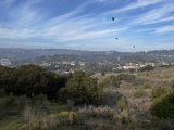 Above The City
