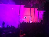 Purple Haze