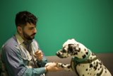 Man and his Dalmatian Companion