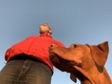 Man and his furry friend against the blue sky