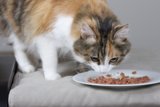 Table Manners