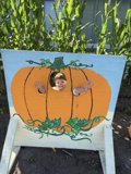 Peek-a-Pumpkin Fun