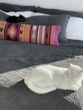 Beauty Sleep