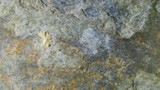 Macro Close-Up of Mineral-Rich Rock Surface
