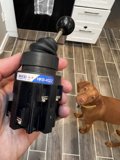 An Interspecies Connection