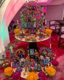 Candy and Flowers Display
