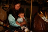 Captivating Carousel Moments - SF Zoo Trip 2023