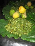 Lush Citrus Garden