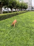 Playtime in the Park