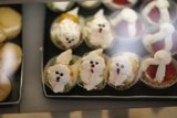 Sweet Faces