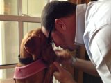 Gentle Therapy Session with a Trusty Hound