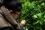 Discovering Nature's Beauty