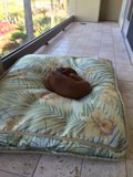 Puppy Dreams on Floral Bedding