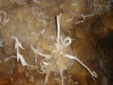 Cave Growth