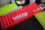 Colorful Tubes Tray