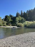 Swimming amidst the Beauty of Nature