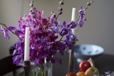 Purple Perfection