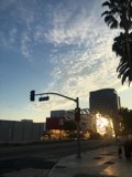 Metropolis Lights