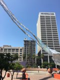 Soaring High in the City