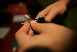 Precision Cuts