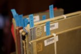 Organized Files