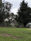Running Free
