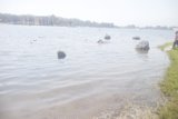 Standing in Serenity