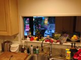 Two Sinks and Greenery in Altadena Kitchen