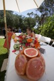 Fruit Feast