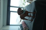 Dachshund Dog Relaxing on Bed with City View