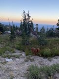 Running Free in Desolation Wilderness