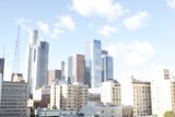 The Urban Jungle