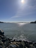 Serenity at Shoreline Park: A November Morning