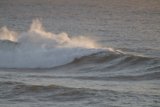 Embracing the Sea Behemoth