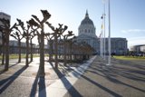 Civic Center and Its Surroundings
