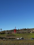 Soaring Above the Fields