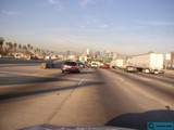 Rush Hour in the Urban Jungle