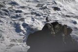 Winter Birdwatching
