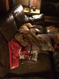 Relaxing Canine Companion
