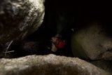Descending the Depths