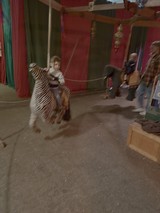 Dynamic Motion Blur in Colorful Temple Setting