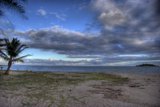 Solitary Palm Tree on Cloudy Beach