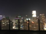 Metropolis in Lights