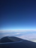 Winged View