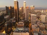 The Urban Jungle of Los Angeles